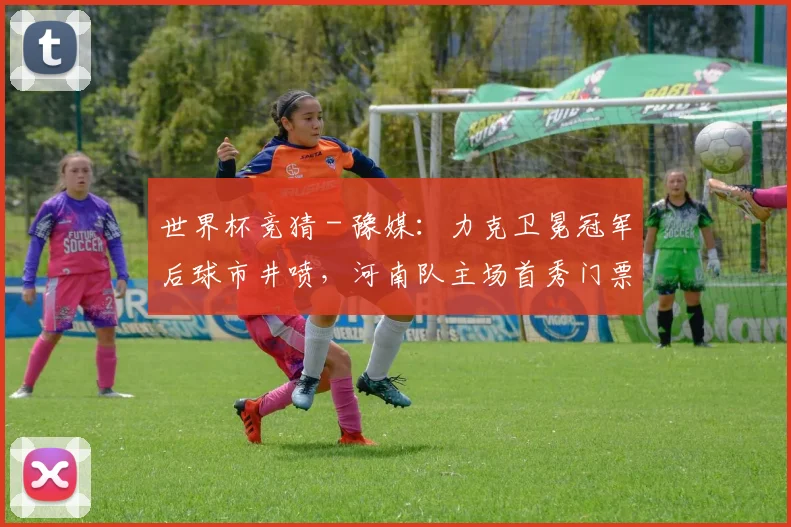 世界杯竞猜 - 豫媒：力克卫冕冠军后球市井喷，河南队主场首秀门票早早售罄